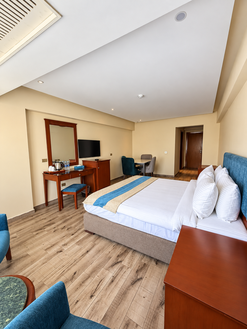 Junior Suite - City View image 2